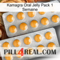 Kamagra Oral Jelly 1 Week Pack levitra2